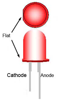 LED Polarity