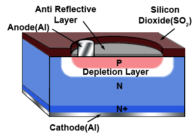 Basic Photodiode Construction