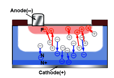 Holes and Electrons are Attracted by Reverse Bias