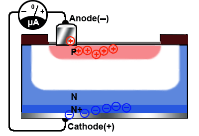 Fig. 2.7.6 Holes and Electrons Forma Photoelectric Current